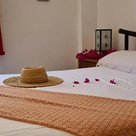 Дом отдыха Violeta Beach